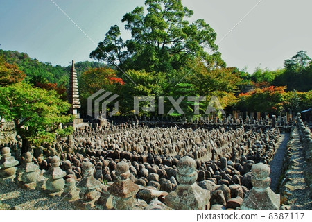 Scenery of Nenbutsuji temple of Kyoto 8387117