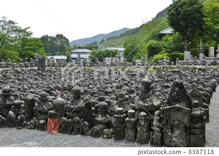Scenery of Nenbutsuji temple of Kyoto 8387118