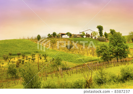 Countryside scenery in Europe 8387237