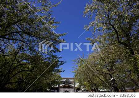靖國神社,光榮的招待所 靖國神社,光榮的招待所 8388105