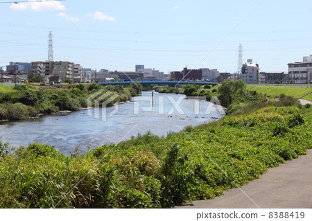 從鶴見河/ Shinyoshida東面的島上方向 8388419