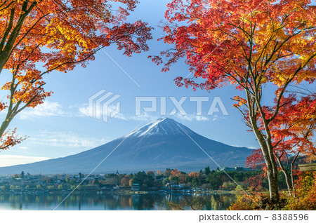 Fuji and Mt. Fuji Fuji and Mt. Fuji 8388596