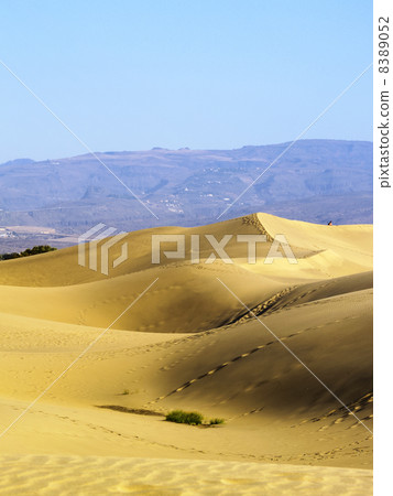 Maspalomas Dunes 8389052