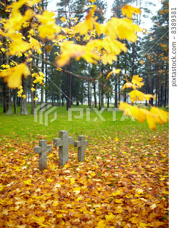 Three tombstone crosses. Three tombstone crosses. 8389381