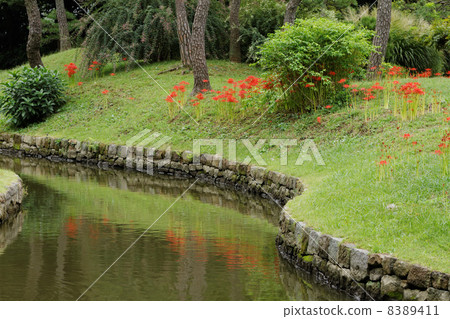 A bright scallop of Koishikawa Korakuen and a scenery reflected on the river A bright scallop of Koishikawa Korakuen and a scenery reflected on the river 8389411