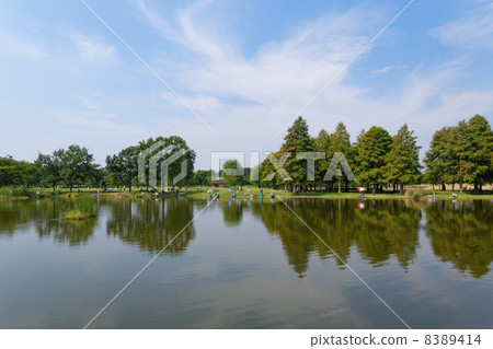 Landscape reflected on forest and lake surface of Lakushou of Sorido Park 8389414