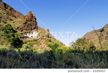 Guayadeque Gully 8389467