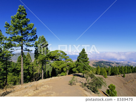 Gran Canaria Gran Canaria 8389470