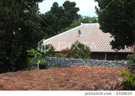 竹富島紅瓦 竹富島紅瓦 8389620