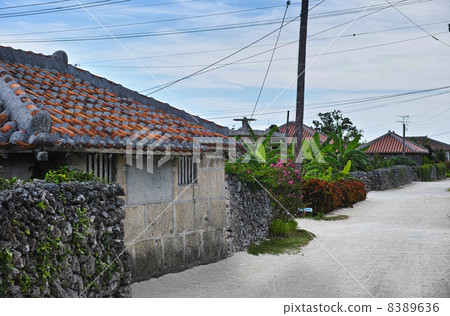 竹富島村 竹富島村 8389636