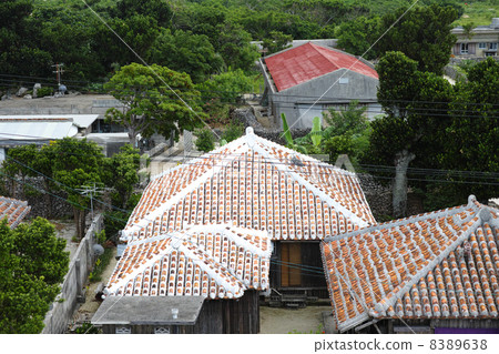 竹富島村 8389638