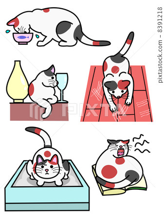Cats, various behavior Cats, various behavior 8391218