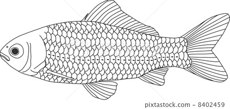 Gimbuna 8402459