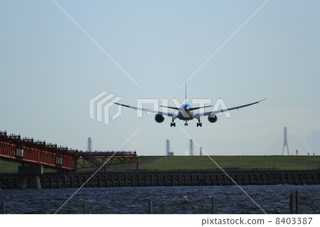 787 landings 8403387