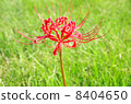 Higambuna _ 0929 8404650