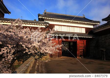 春天上田Shiromoto Maruto Toraguchi寺門 8407379