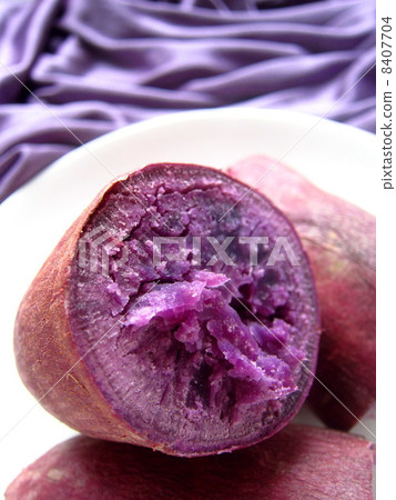 可口白薯用紫色土豆 8407704