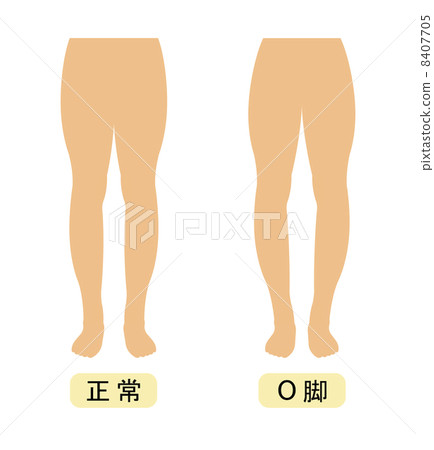 O腿 8407705