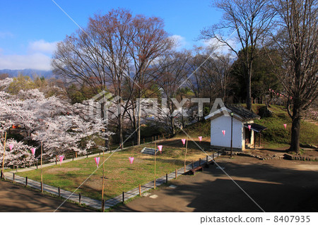 Spring Ueda castle ruins park 8407935