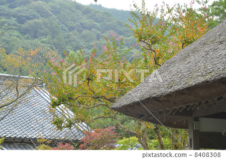 Yufuin in early autumn 8408308