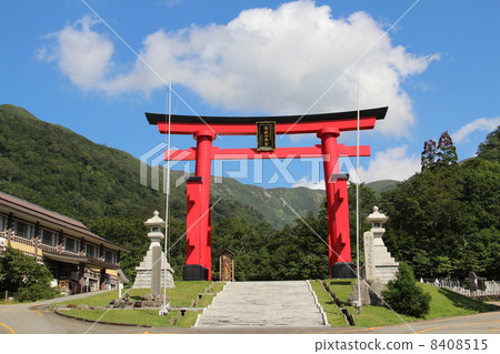 Toriiyama Torii Torii Toriiyama Torii Torii 8408515