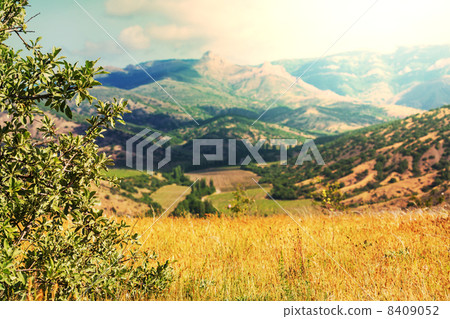Fields in Crimea Fields in Crimea 8409052