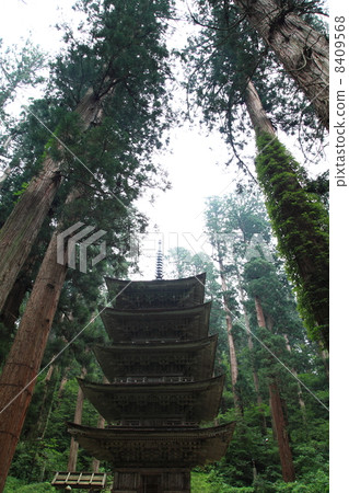 Haguroyama five-storied pagoda Haguroyama five-storied pagoda 8409568