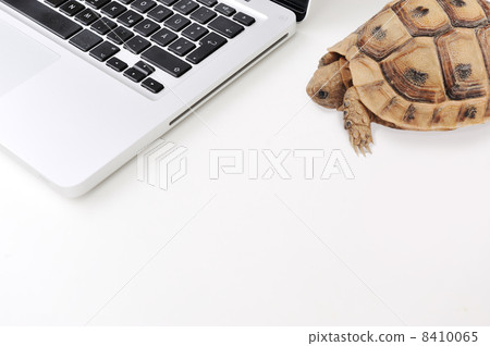 Slow connection and computer as a turtle Slow connection and computer as a turtle 8410065