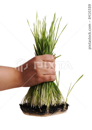 Uproot grass Uproot grass 8410389
