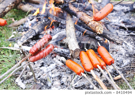 Picnic in nature, preparing sausage 8410494