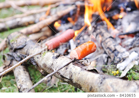 Picnic in nature, preparing sausage Picnic in nature, preparing sausage 8410655