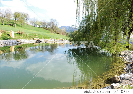 Small lake at golf field 8410734