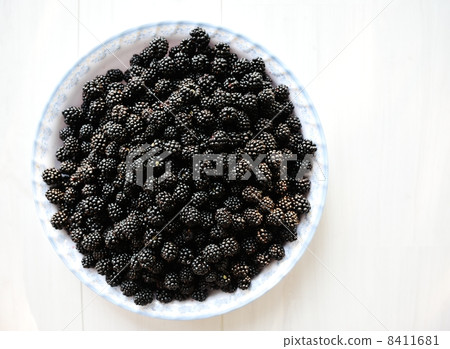 Blackberry harvest collecting 8411681