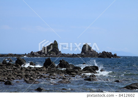 Manzuru半島三石 8412602