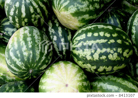 Fresh water melons 8413107