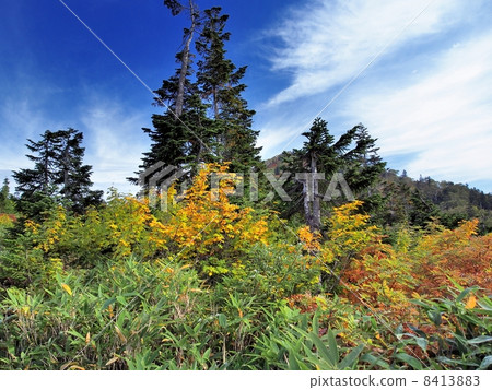Hiruzan of early autumn 8413883