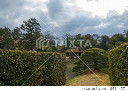 Katsura Rikyu Sumiyoshi的松樹 Katsura Rikyu Sumiyoshi的松樹 8414457