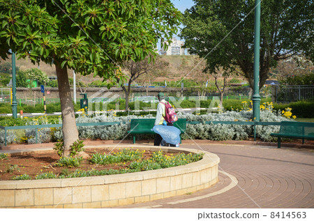 Street cleaner collecting trash into plastic bag Street cleaner collecting trash into plastic bag 8414563