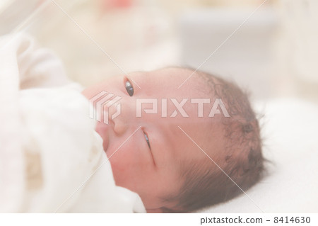 Day of birth Day Age 0 Newborn 8414630