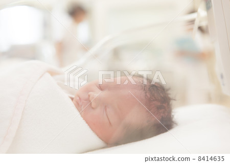 出生日第0天新生兒 8414635