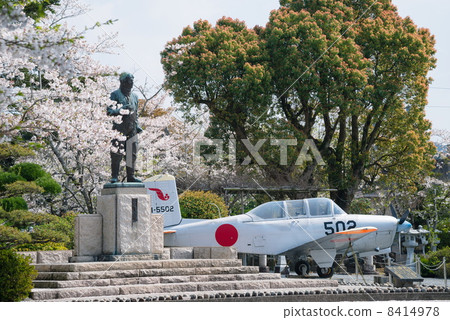 Spring Suits Peace Park 8414978