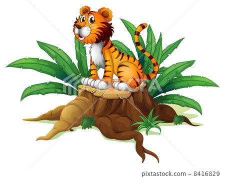 A big tree with a tiger 8416829