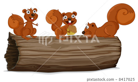 Squirrels on a log Squirrels on a log 8417025