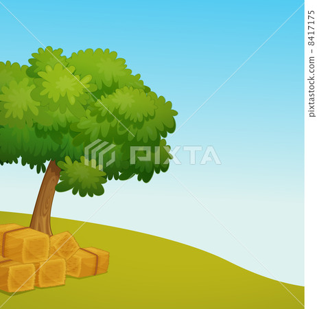 field field 8417175