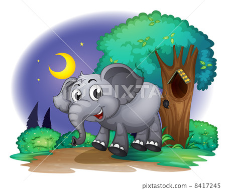 An elephant. in the forest An elephant. in the forest 8417245