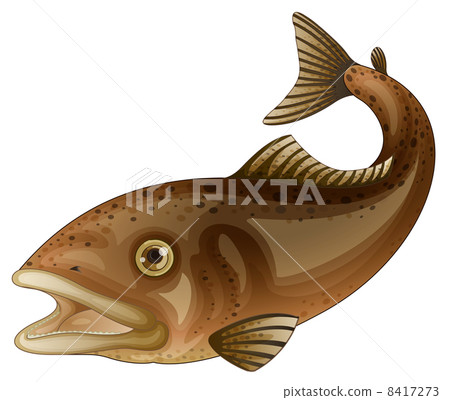 Isolated tropical fish on white 8417273
