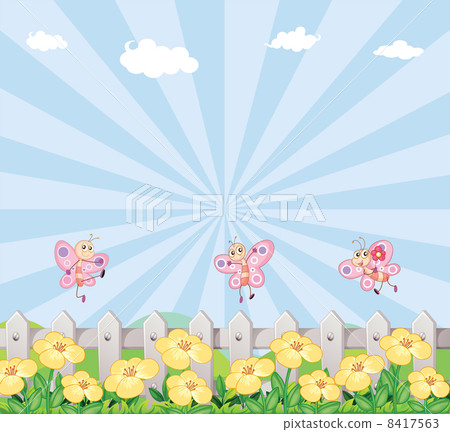 Three butterflies at the garden with a wooden fence 8417563