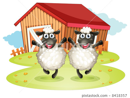 Two black sheeps with a barn at the back Two black sheeps with a barn at the back 8418357