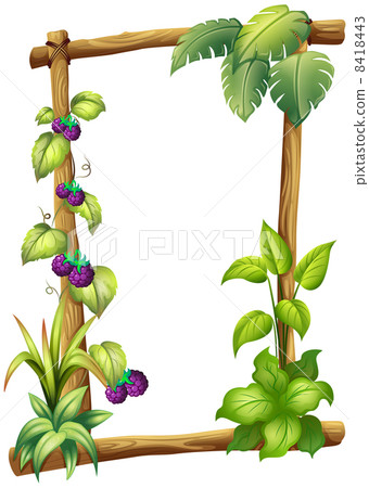 A frame made of wood with vine plants A frame made of wood with vine plants 8418443