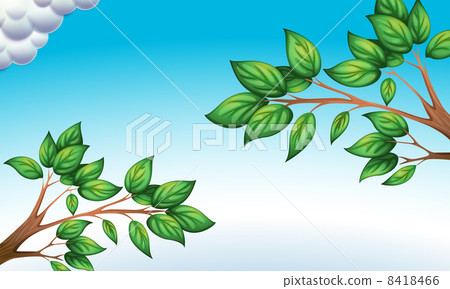 The green leaves and the clear blue sky The green leaves and the clear blue sky 8418466